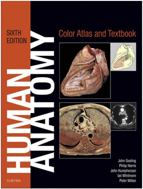 Human Anatomy, Color Atlas and Textbook 6E. 2017 PDF Free Download