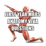 1st Year MBBS Anatomy Viva Questions
