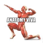 Anatomy Viva