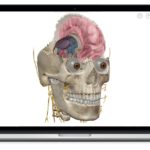 Human Anatomy Atlas for PC