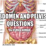 Abdomen and Pelvis Viva Questions