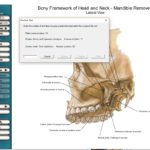 Netter Interactive Atlas Of Human Anatomy v3.0 (Practice Test)