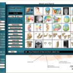 Netter Interactive Atlas Of Human Anatomy v3.0 (Visual Index)