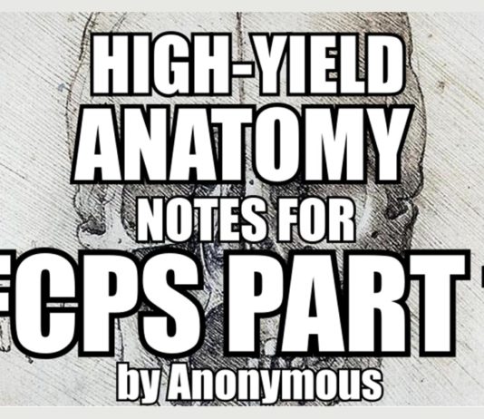 High-Yield Anatomy Notes for FCPS Part 1
