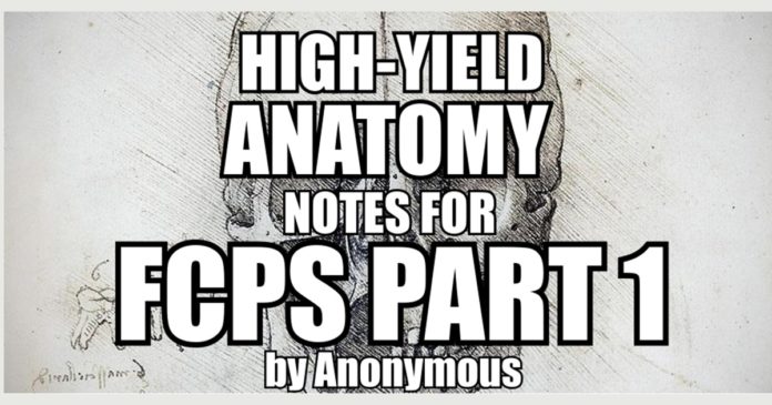 High-Yield Anatomy Notes for FCPS Part 1