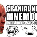Cranial Nerves Mnemonics