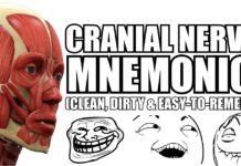 Cranial Nerves Mnemonics