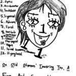 Cranial Nerves Mnemonics for Functions