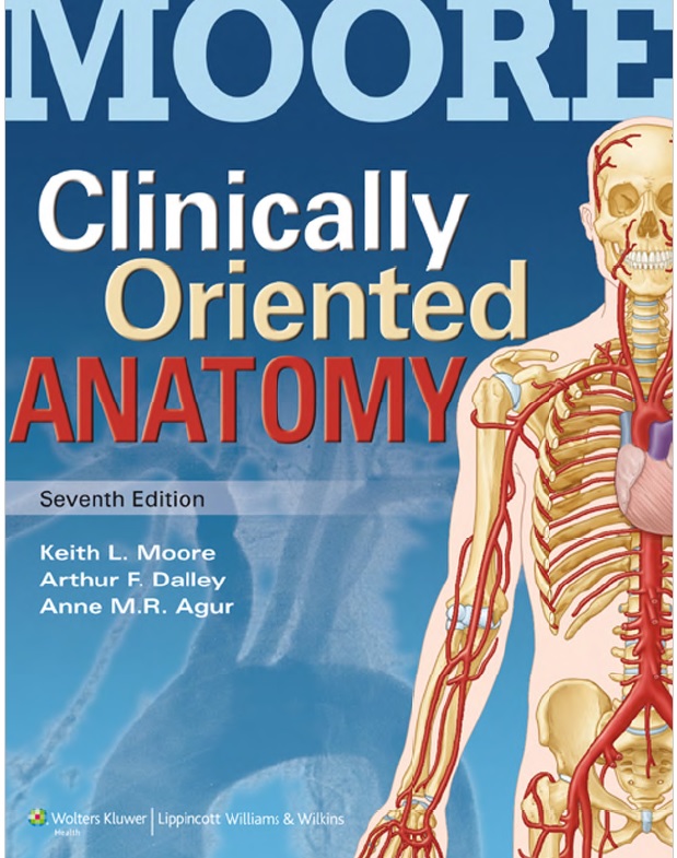 Moore's Clinically Oriented Anatomy 7th Edition