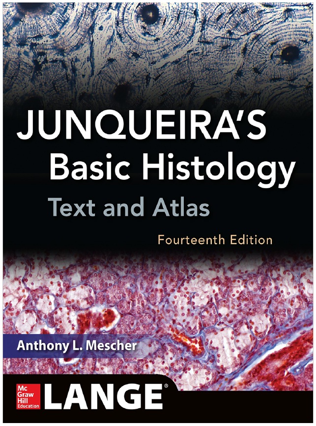 Junqueira's Basic Histology 14th Edition PDF
