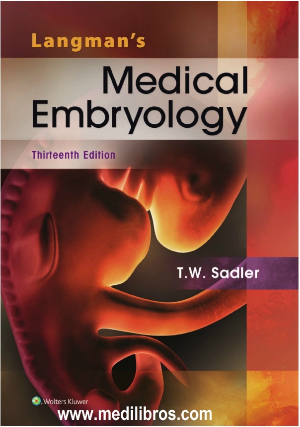 angman's Medical Embryology PDF