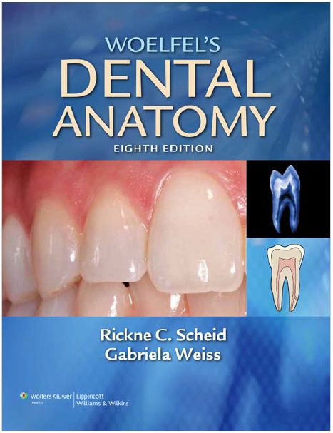 Woelfel's Dental Anatomy PDF