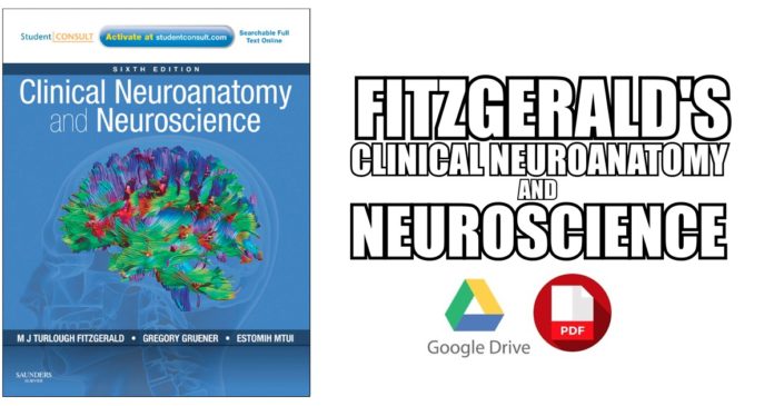 Clinical Neuroanatomy and Neuroscience Fitzgerald PDF