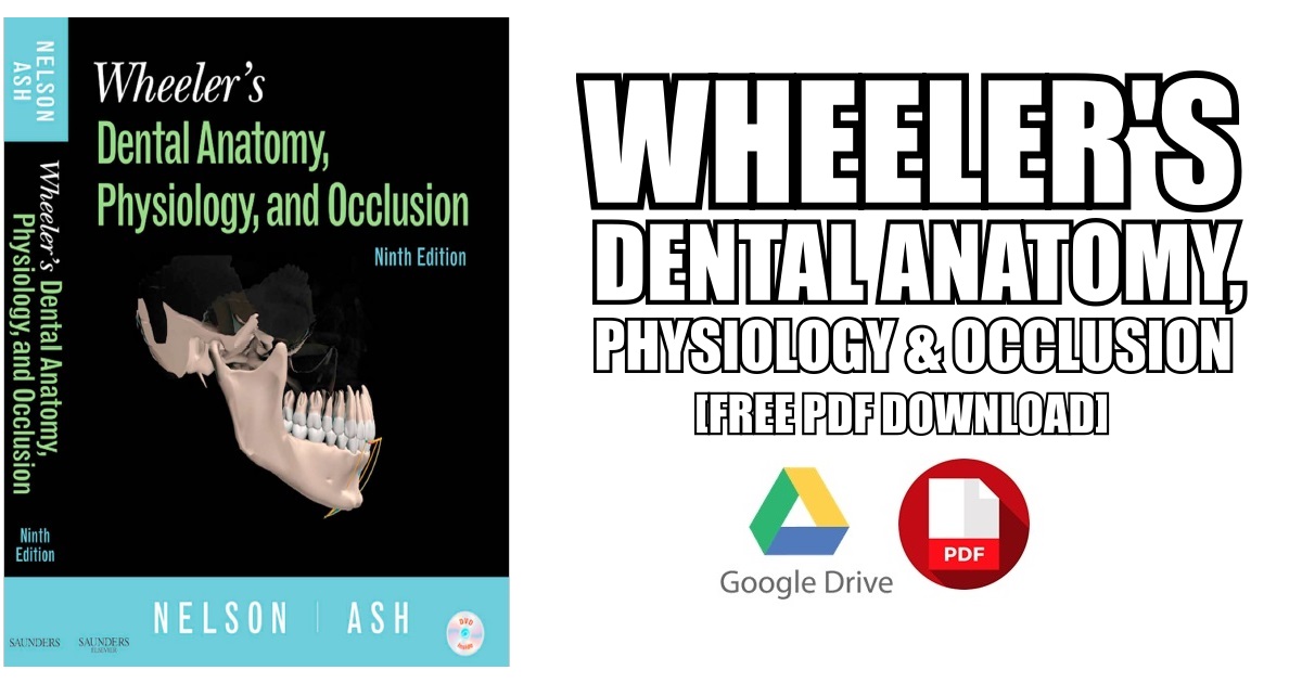 Wheeler's Dental Anatomy, Physiology and Occlusion PDF