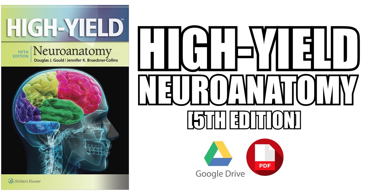 High-Yield Neuroanatomy PDF