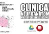 Clinical Neuroanatomy Made Ridiculously Simple PDF