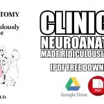 Clinical Neuroanatomy Made Ridiculously Simple PDF