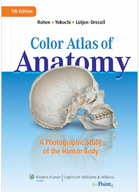 Color Atlas of Anatomy PDF