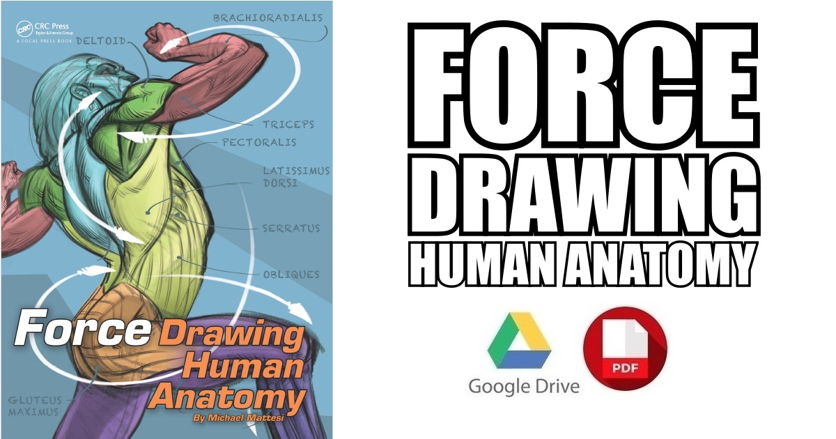 Force Drawing Human Anatomy Pdf Free Download Direct Link