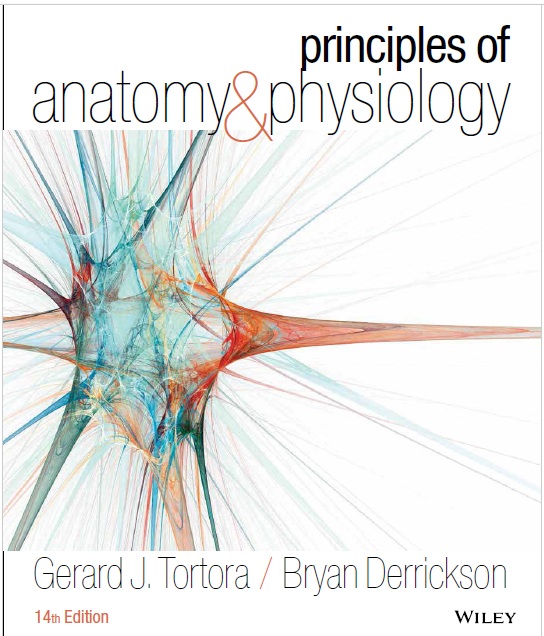 Principles of Anatomy and Physiology 14th Edition PDF