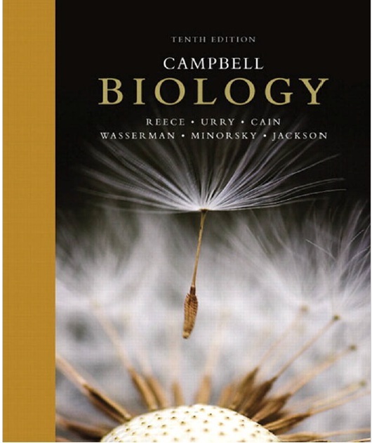 Campbell Biology 10th Edition PDF