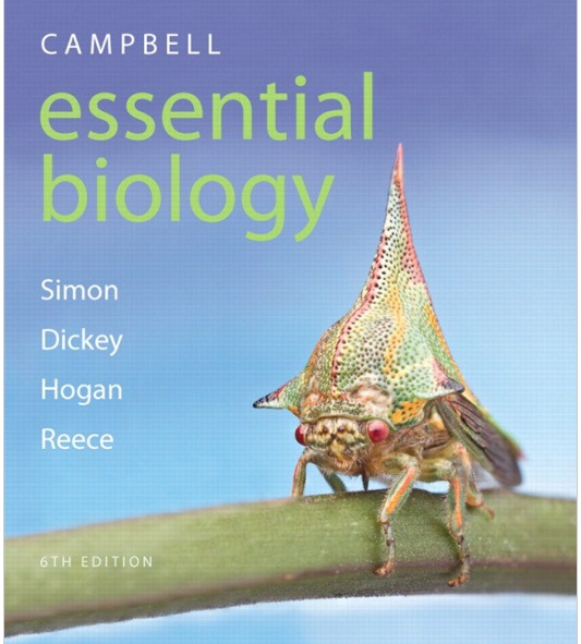 Campbell Essential Biology 6th Edition PDF