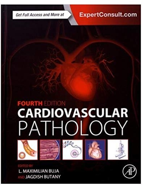 Cardiovascular Pathology 4th Edition PDF