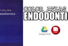 Color Atlas of Endodontics PDF