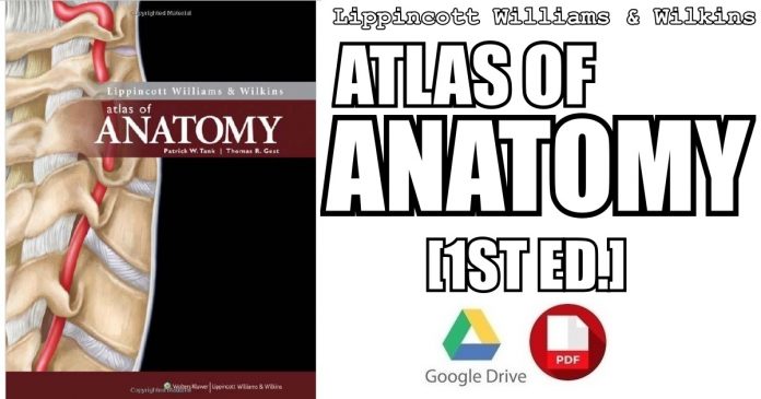 Lippincott Williams & Wilkins Atlas of Anatomy 1st Edition PDF