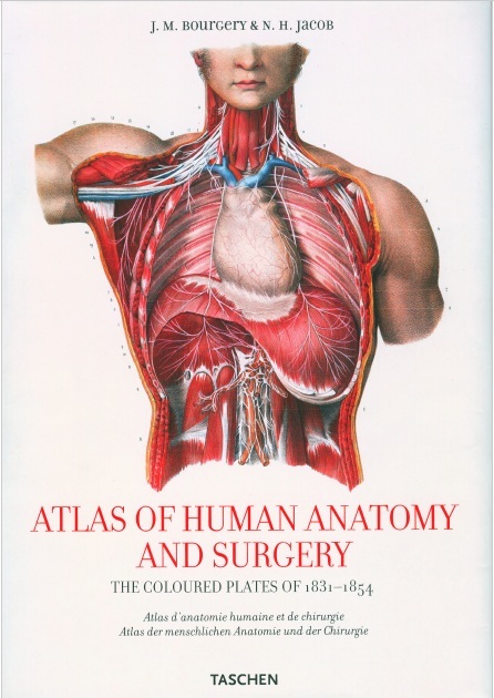 Atlas of Human Anatomy and Surgery 25th Edition PDF