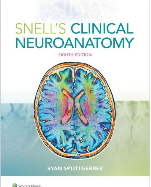 Snell's Clinical Neuroanatomy 8th Edition PDF