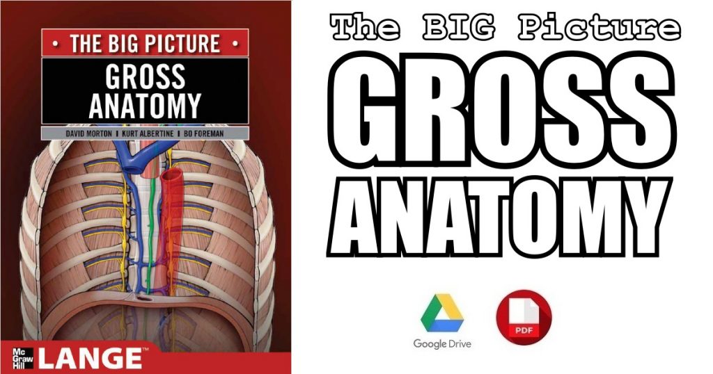 The Big Picture: Gross Anatomy PDF