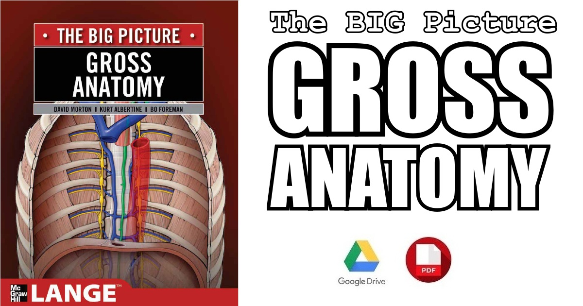 anatomy books for beginner artists