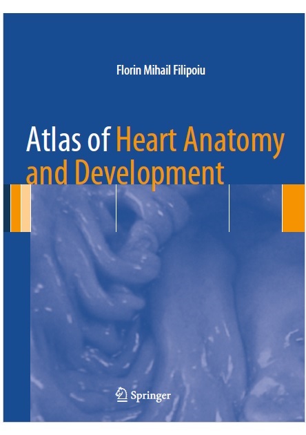 Atlas of Heart Anatomy and Development 1st Edition PDF