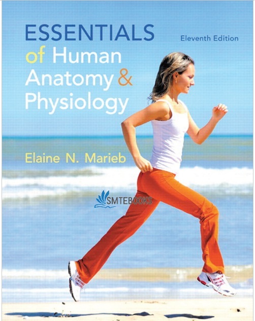 Essentials of Human Anatomy & Physiology 11th Edition PDF