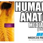 Human Anatomy Media Update 6th Edition PDF