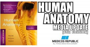 Human Anatomy Media Update 6th Edition PDF