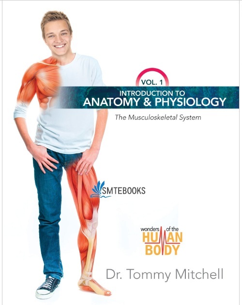 Introduction to Anatomy & Physiology Vol 1: The Musculoskeletal System PDF