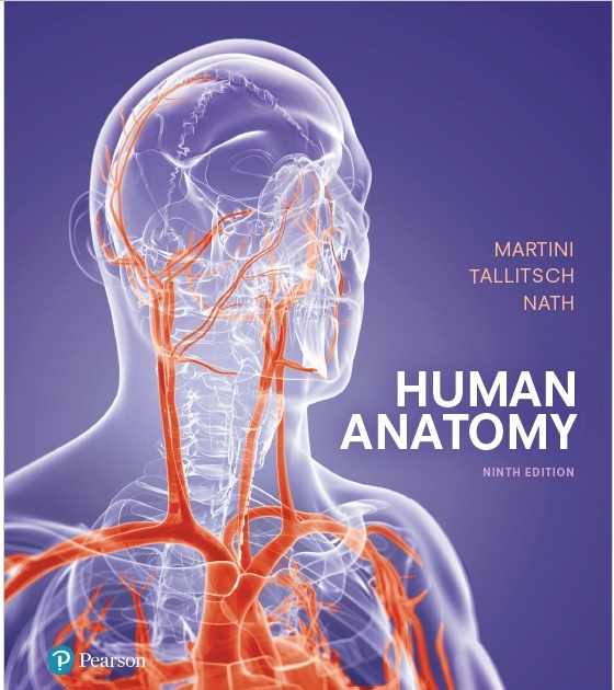 human anatomy 9th edition martini pdf download