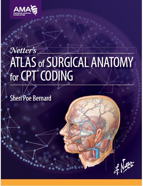 Netter's Atlas of Surgical Anatomy for CPT Coding PDF