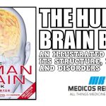 The Human Brain Book PDF