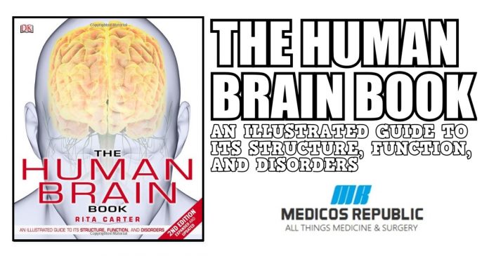 The Human Brain Book PDF