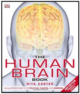 The Human Brain Book PDF