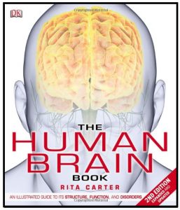 The Human Brain Book PDF