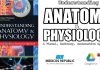 Understanding Anatomy and Physiology: A Visual, Auditory, Interactive Approach PDF
