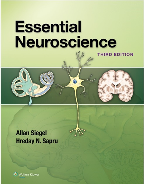 Essential Neuroscience 3rd Edition PDF