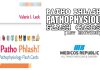 Patho Phlash: Pathophysiology Flash Cards PDF