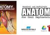 Surgical and Radiologic Anatomy for Oral Implantology 1st Edition PDF