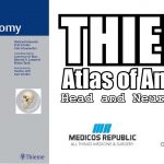 Head and Neuroanatomy (THIEME Atlas of Anatomy) PDF