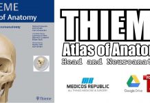 Head and Neuroanatomy (THIEME Atlas of Anatomy) PDF